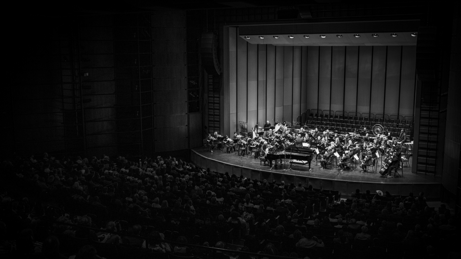 Featured image for post: Chicago Philharmonic Announces New Associate Board Leadership